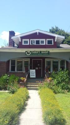 Thrift Shop For Little Orphan Animals