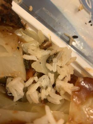 Will never be ordering from here again,found a fucking roach under my mac,mashed in with the rice.Fucking disgusting