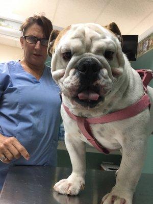 Happy dog at the vet!