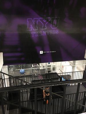 NYU Athletics