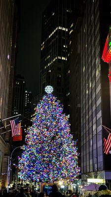 Christmas tree lights at night, December 2023