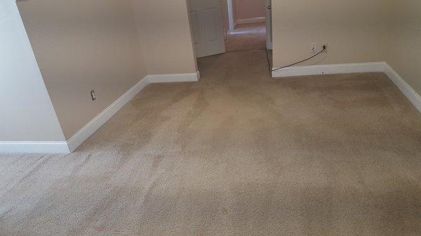 After Carpet Cleaning