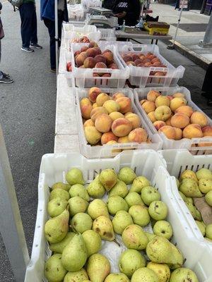 Pears & Stone Fruits