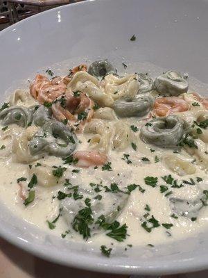 Cheese Tortellini Alfredo