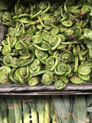 Fiddleheads do yummy grilled!!