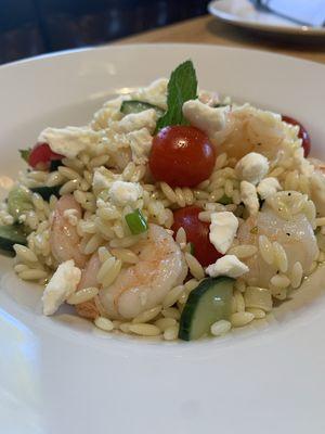 Cold Orzo Shrimp Salad Special