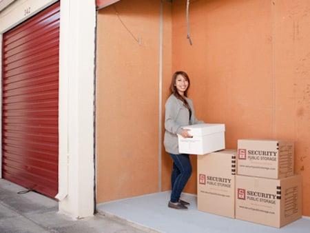 Individually Alarmed Storage Units