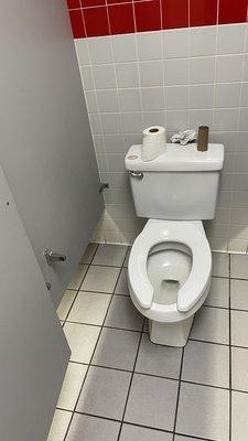 Filthy toilet