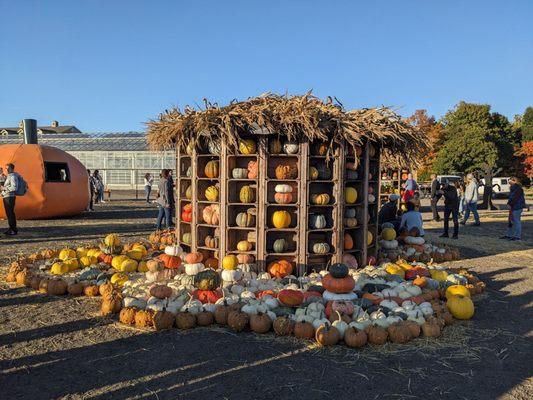 Wilson Farm 10/2024 (pumpkin village)