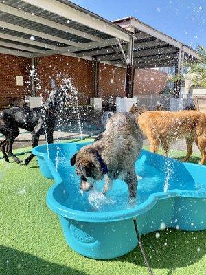 Pool fun!