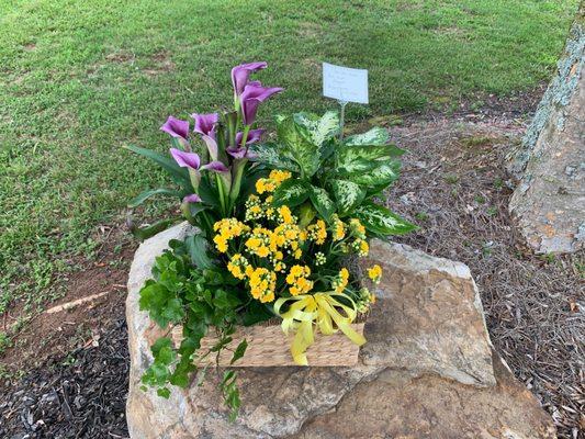 Beautiful Dish Garden arrangement