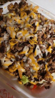 Carne Asada fries