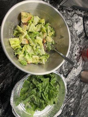 Caesar salad & limp romaine