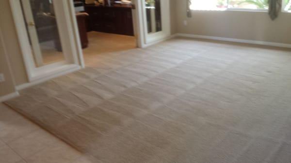 Dirty Carpet After Truck Mounted Steam (completed)