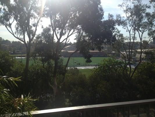 View from palisades room adjacent terrace