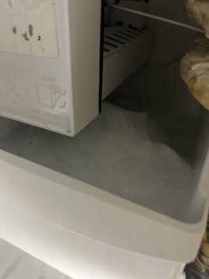 Ice maker just pools water and then Freezes