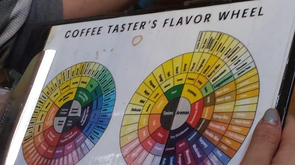 Coffee Taster's Flavor Wheel