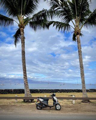 West Maui Mopeds