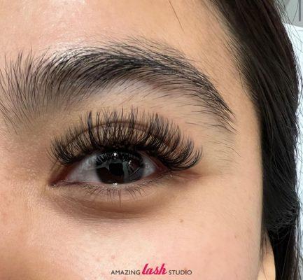 HYBRID Classic and Volume Lash Extension Gorgeous Style