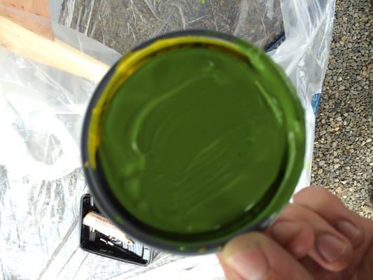 Unmixed yellow paint in my can of green Gecko paint.