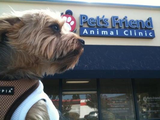 Pet's Friend Animal Clinic