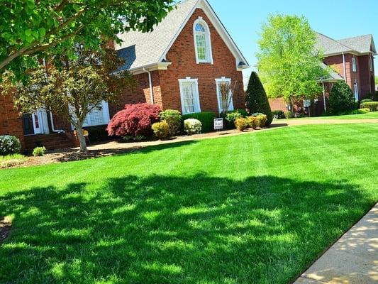 Lawn fertilizing