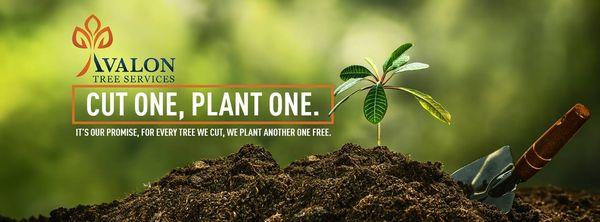 When we remove a tree, we will plant another one for free!