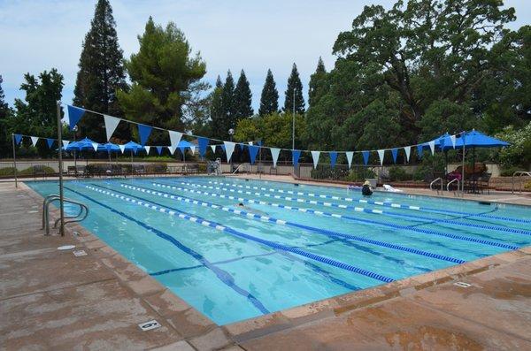 Johnson Ranch Lap Pool