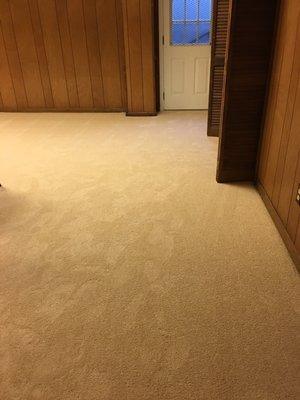 Brand new Carpet!!!