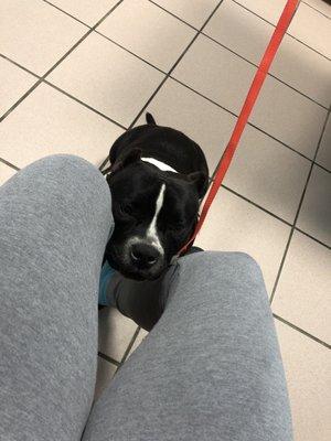 Nova, waiting for the doc (: