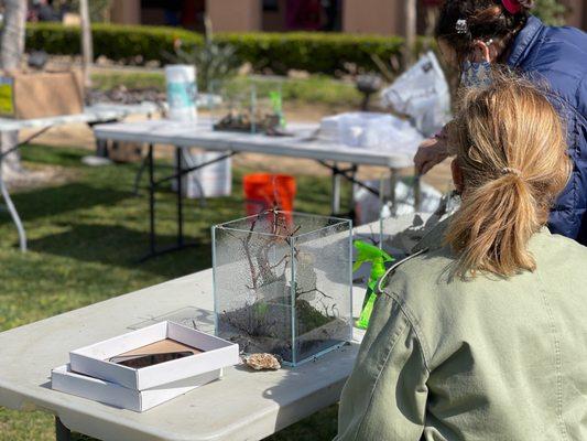 Classic nature aquascape workshop in session