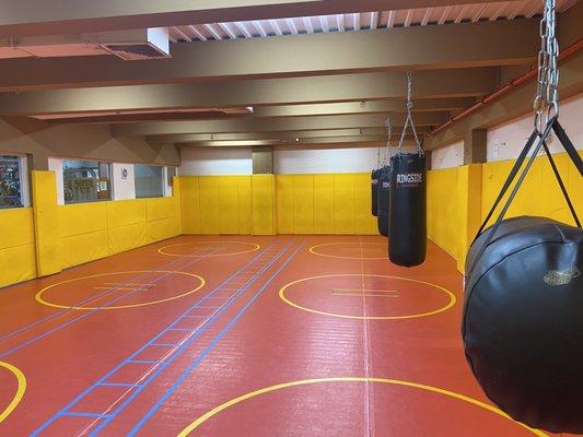 NEW  MMA and boxing Room