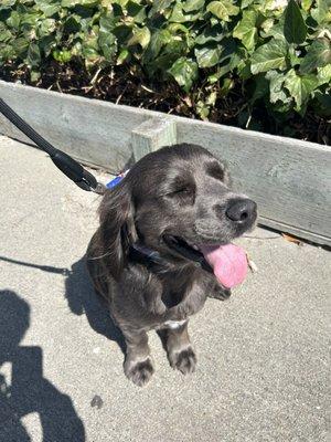 A happy handsome boy after his first visit