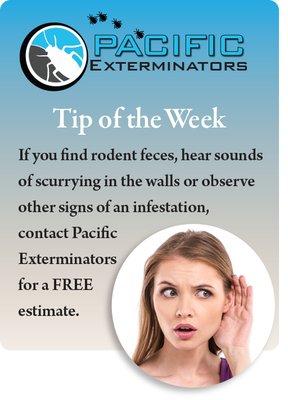 Rodent tip of the week