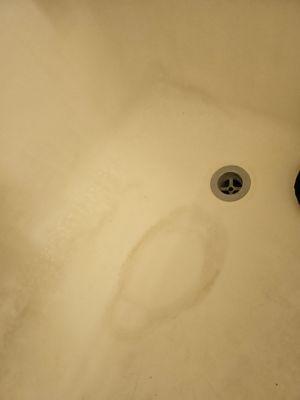 Constant leak from master shower