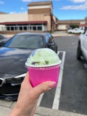 green tea & mint n chip ice cream