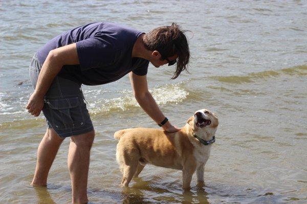 enjoying a swim at the dog beach area, not park from the dog park section.