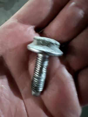 Bolt held in hand to help gauge the size of it