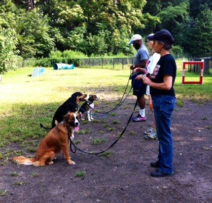 Dog Training Classes