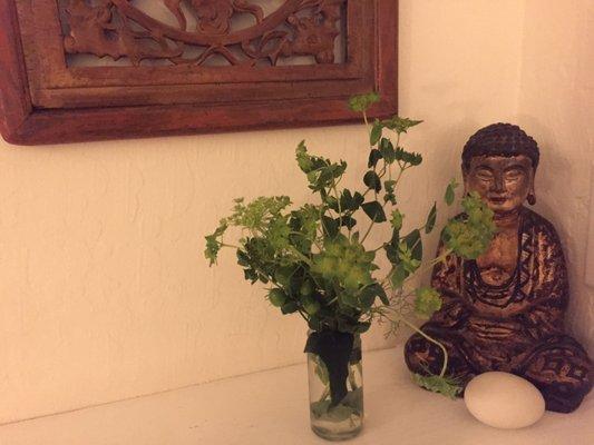 Little Altars - Fertility Acupuncture in Berkeley