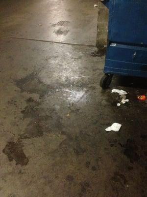 Stains & puddles by dumpster