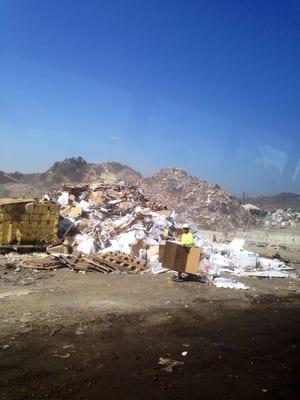 Sorting blue bins recyclables