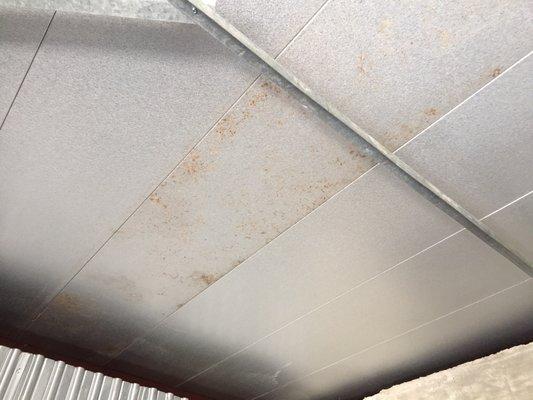 Leaking roof still not repaired after a months notice.