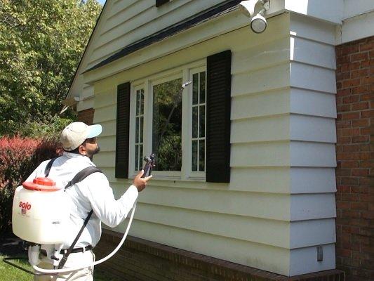 Cooper Pest Technician Usman performing an overwintering service to protect homeowners against stink bug infestations.