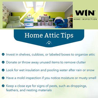 Remember: Check in on your attic!