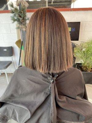 Color highlighted bobcut