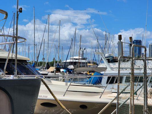 Ala Wai Boat Harbor