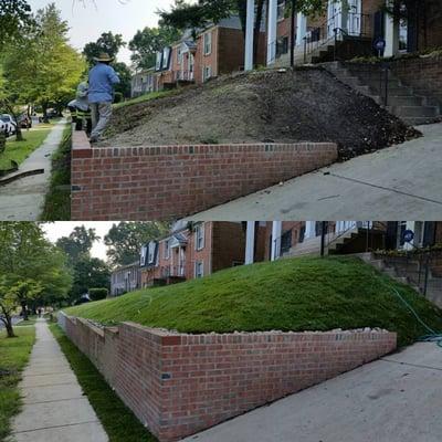 Lawn Renovation