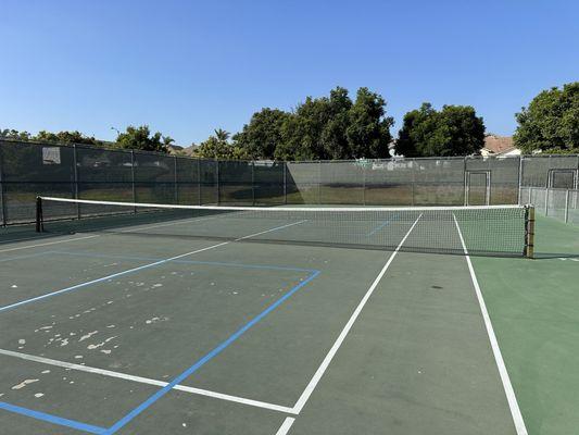 Pickleball Practice