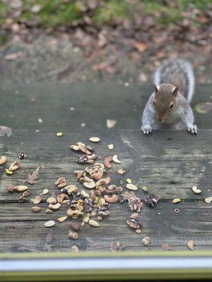 Look who's excited for his trail mix!